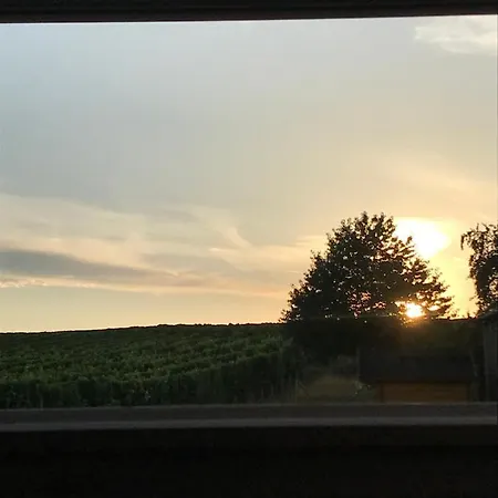 Semesterbostad Ferienhaus Grafschaft Trittenheim
