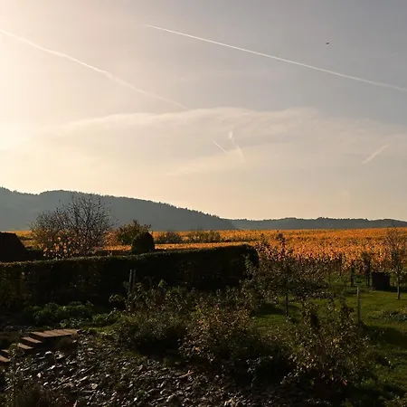 Ferienhaus Grafschaft * Trittenheim