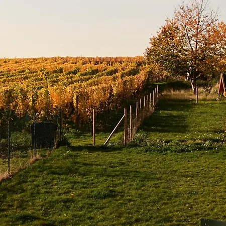 Semesterbostad Ferienhaus Grafschaft Trittenheim